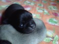 /album/conoce-mas-de-nuestra-empresa/img02103-20130914-1351-jpg/