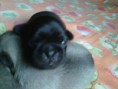 /album/conoce-mas-de-nuestra-empresa/img02105-20130914-1351-jpg/